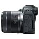 Canon EOS R8 + RF 24-50mm 變焦鏡組 公司貨 product thumbnail 7