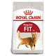 Royal Canin法國皇家 F32理想體態貓飼料 10kg product thumbnail 2