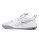 Nike 排球鞋 Air Zoom HyperAce 3 男鞋 女鞋 灰 銀 緩衝 室內運動 羽排鞋 運動鞋 FQ7074-001 product thumbnail 2