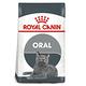 ROYAL CANIN法國皇家-皇家強效潔牙成貓O30 3.5KG 兩包組 product thumbnail 2