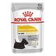 Royal Canin法國皇家 DMW皮膚保健犬濕糧 85g 24包組 product thumbnail 2