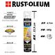 美國 RUST OLEUM 樂立恩 ROCKSOLID TURBO 硬石防水膜（24 oz 透明／潤光澤） product thumbnail 4