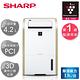 SHARP 夏普13L PCI自動擊菌離子衣物乾燥除濕機DW-E13HT-W product thumbnail 3