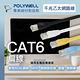 POLYWELL CAT6 高速網路傳輸扁線 /2M product thumbnail 3