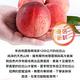 【享吃鮮果】正宗鮮採拉拉山水蜜桃2箱(1.3kg±10%/10顆) product thumbnail 3