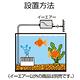 《GEX》日本超靜音新型單孔打氣機-1000 product thumbnail 3