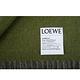 LOEWE 新款Anagram 圖案羊毛羊絨混紡雙色流蘇圍巾 (灰色/綠色) product thumbnail 9