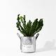 Fyber Forma POTTED 植栽置物袋 - 白 product thumbnail 7