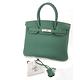 HERMES BIRKIN TOGO牛皮鉑金包(30CM/綠Z6/金釦) product thumbnail 6