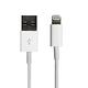 Apple Lightning cable USB數據傳輸/充電線(13.5cm) product thumbnail 2