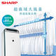 SHARP 夏普 16公升 自動除菌離子 衣物乾燥抗黴除濕機 DW-P16HT-G 湖水綠 product thumbnail 6