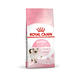 ROYAL CANIN法國皇家-幼貓(K36) 10kg(購買第二件贈送寵物零食x1包) product thumbnail 2