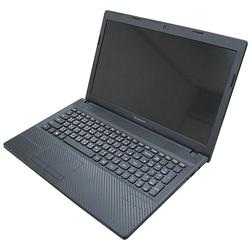 EZstick Lenovo IdeaPad G500S Carbon黑色立體紋機身保護膜