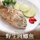 【愛上海鮮】鮮凍野生肉鯽魚9包組(500g±10%/包/四尾/包) product thumbnail 3
