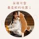 Beroso倍麗森超Q彈柴柴玩偶柴犬狗抱枕 懶人枕55cm product thumbnail 6