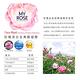 保加利亞MY ROSE玫瑰臉部溫和去角質凝膠150ml買2送1-效期2025/04/30 product thumbnail 7