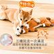 【DOG狗東西】寵物耐咬發聲玩具/寶特瓶不傷牙無棉花玩具套 product thumbnail 5