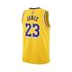 Nike 球衣 NBA Swingman 黃 紫 洛杉磯湖人 LAL 詹姆斯 23 LBJ 運動背心 DN2009-733 product thumbnail 3