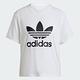 ADIDAS TRFL TEE BOXY 三葉草 女短袖上衣-白-IN8441 product thumbnail 3