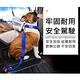 Petlife 寵物外出汽車座椅安全帶 顏色隨機 product thumbnail 3