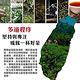買一送一 好韻台灣茶 阿里山頂級包種茶隨手包-10包(10g±3%/包) product thumbnail 6