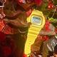 CASIO 卡西歐 G-SHOCK 夏日陽光 衝浪運動手錶 送禮推薦 GLX-5600RT-9 product thumbnail 3