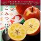 【天天果園】日本富士蜜蘋果(每顆約360g)原箱x10kg(28入) product thumbnail 2
