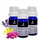 Body Temple馨香精油3入組(玫瑰天竺葵,伊蘭伊蘭,薰衣草10mlx3) product thumbnail 2