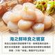 【享吃海鮮】北海道嚴選鮮甜干貝8包(180g±10%包/六顆/包) product thumbnail 3