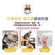 BUBUPETTO-貓咪玩具清潔用免稀釋次氯酸水4000mlx3瓶(寵物) product thumbnail 4