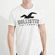 Hollister HCO 短袖 T恤 白色 0971 product thumbnail 2