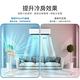 【PHILIPS 飛利浦】窄邊框時尚美型風扇 電風扇 ACR2142SF product thumbnail 7