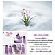 innisfree 濟州寒蘭複合滋養霜 50ml product thumbnail 5