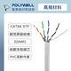 POLYWELL CAT6A 高速網路扁線 30公分 product thumbnail 8