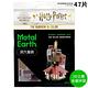 Tenyo哈利波特Harry Porter立體3D洞穴屋Metal Earth金屬拼圖B-MN-003C衛斯理The Burrow(47片裝)免塗裝模型 product thumbnail 4