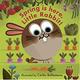 Little Faces：Spring Is Here, Little Rabbit! 春天來了變臉操作書 product thumbnail 2