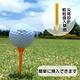 【MEGA GOLF】日本同步發行 羽 GOLF TEE  2包入 product thumbnail 4