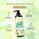 韓國 天使髮則 益生菌洗髮精740ml-任選3入(綠茶控油/玫瑰水潤) product thumbnail 5