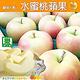 【天天果園】日本青森TOKI水蜜桃蘋果(每顆約300g) x5顆 product thumbnail 4