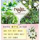 法國NAJEL阿勒坡古皂液茉莉花沐浴露400ml買2送1 product thumbnail 6