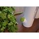 Prepara  香草植物保鮮盒 2.0-單入 product thumbnail 8