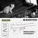 BLACKDOG 鋁合金折疊行軍床 BD-XJC001 承重150kg 附收納袋 露營 悠遊戶外 product thumbnail 8