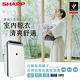 SHARP 夏普 16公升 自動除菌離子 衣物乾燥抗黴除濕機 DW-P16HT-G 湖水綠 product thumbnail 8