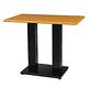 綠活居 阿爾斯環保3尺塑鋼雙腳座餐桌/休閒桌(二色)-90x60x74cm免組 product thumbnail 2