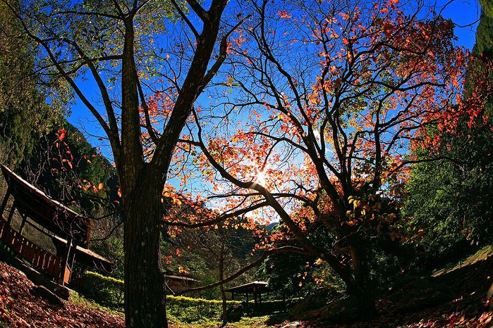 悠悠山河】最新版本白盒裝二代蘇聯魚眼ZENITAR 16mm f2.8 MC 全新頂級