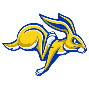 college team logo