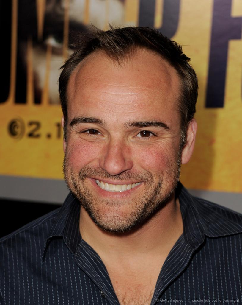 david deluise wizards of waverly place