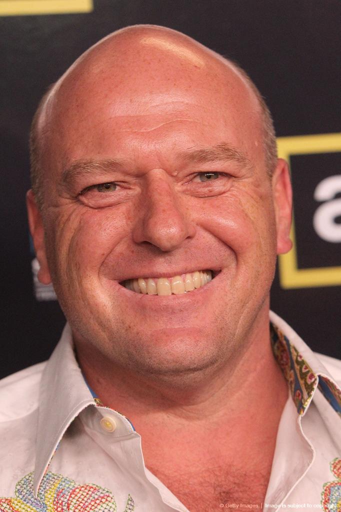 Dean Norris Joins 'Law & Order: Organized Crime' As Stabler's Brother –  Deadline