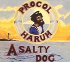 Salty Dog