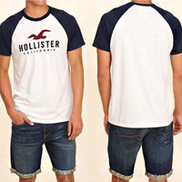 Hollister 大海鷗短袖T恤